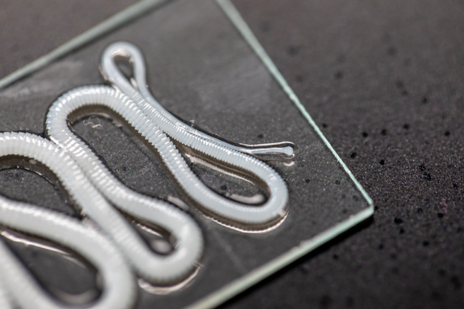 越南醫師在一名2歲男童體內取出上百條蛔蟲。（示意圖：shutterstock／達志）