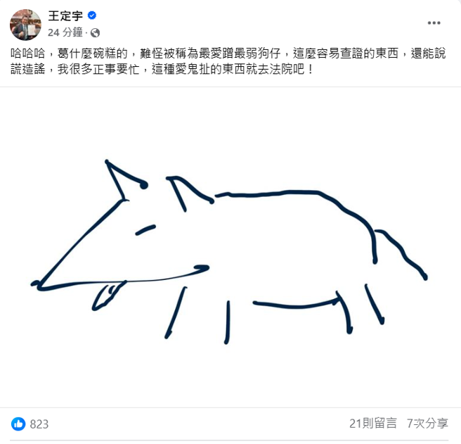 王定宇称葛斯齐造谣。（王定宇脸书）