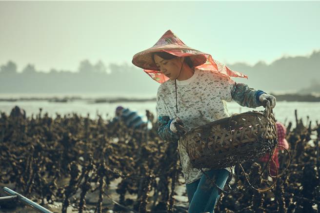「最美小海女」郭雪芙穿著採蚵裝仍難掩美貌和好身材。（大川大立提供）