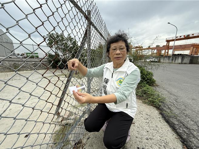 监督施政联盟召集人、台湾水资源保育联盟理事长陈椒华，以试纸检测学甲兴业段804-2国有地上积水呈强碱性。（宝智华摄）
