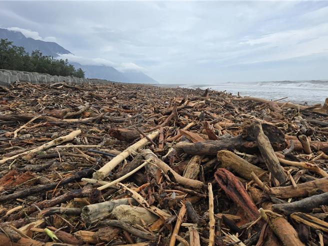 颱風過後花蓮海岸可見大量漂流木，圖為立霧溪出海口。（林業暨自然保育署花蓮分署提供／王志偉花蓮傳真）