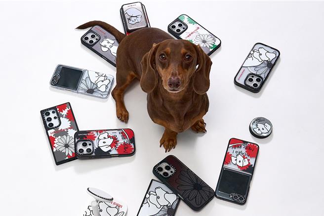 Mardi Mercredi x CASETiFY 聯名系列融入人氣臘腸狗DDANJI元素。（CASETiFY提供）