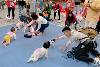 萌寶齊聚基隆！爬行比賽、闖關遊戲 親子同樂超溫馨