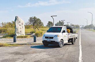 高市茄萣溼地 候鳥檢出禽流感