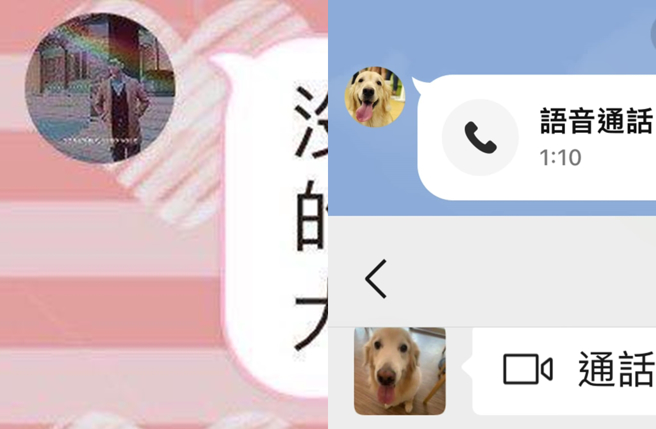 王定宇晒出截图（左图）与圤智雨LINE中葛斯齐的头像不一样。（图／翻摄自王定宇、圤智雨 雨的十二时辰脸书）