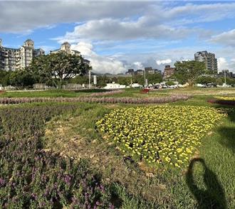 大直美堤河濱花海斥300萬遭批「像狗啃」 水利處回應了