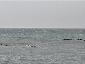 康芮害花蓮養殖、定置網漁業損失1.7億 現金救助即日起受理申請