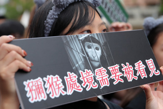 千人上街為野生動物而走 喊話政府有效管理遊蕩犬貓