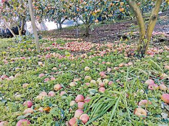 太魯閣公園修復 幾乎回到原點