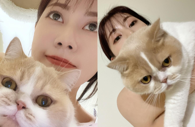 阿部玛利亚晒爱猫照意外惊见疑似裸身。（图／IG@_abedesu）