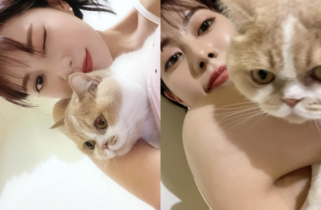 阿部玛利亚晒爱猫照意外惊见疑似裸身。（图／IG@_abedesu）