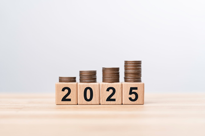 生肖属龙、蛇、马和猪的人在2025年的财运、事业运旺盛，最有机会一夜暴富。（示意图：Shutterstock／达志）