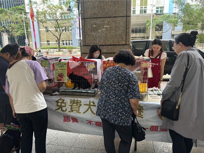 新北市动保处特于光棍节前夕举办1＋1犬猫认养会。（新北市动保处提供）