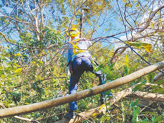 康芮颱風造成桃園復興區大規模停電，市府盼在山區設置防災型微電網，強化供電韌性。（台電提供／賴佑維桃園傳真）