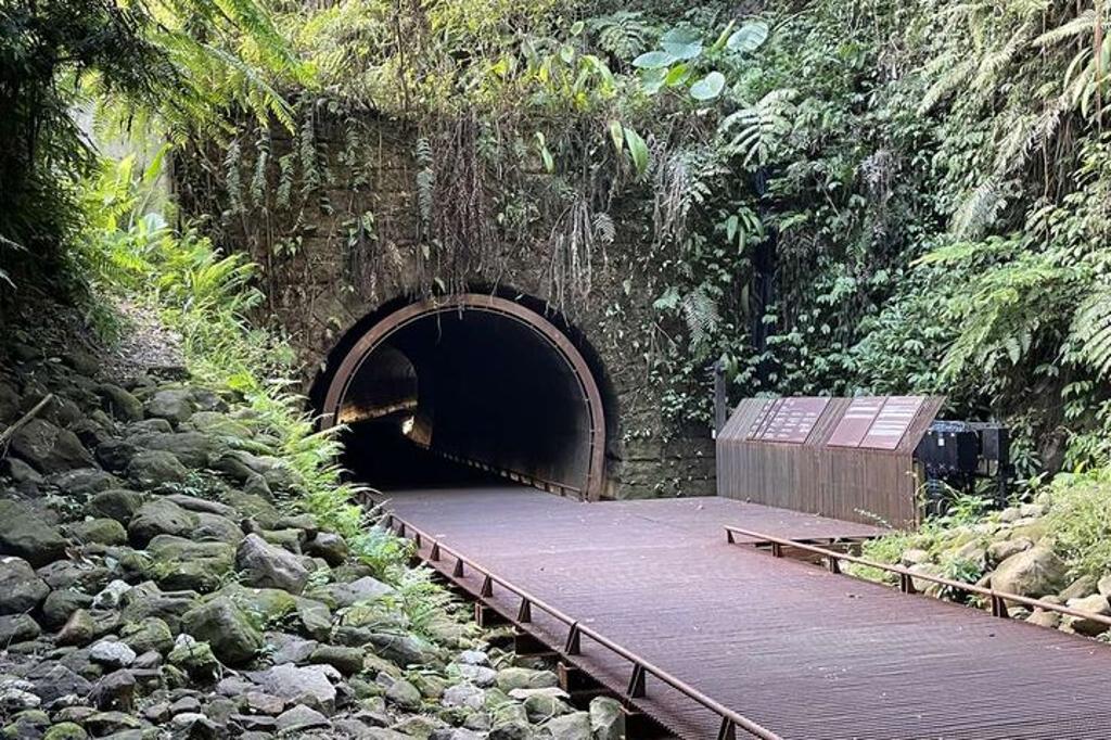 三貂嶺生態友善隧道少了人為干擾，成為充滿生命力的垂直濕地。（圖／新北市政府觀光旅遊局）