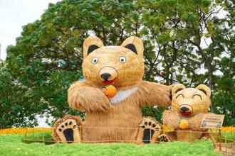 賞花加碼！關渡花海再增展區 群山圍繞別具自然野趣