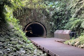 三貂嶺秋日親子遊 探索生態友善隧道一起「森」呼吸