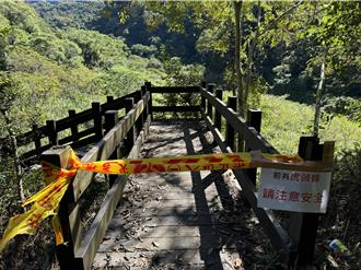虎頭蜂襲擊！4登山客受傷送醫 苗栗水雲瀑布步道暫時封閉