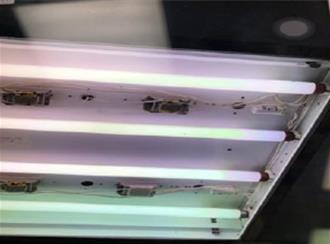 高中團膳驚見豬隻打針針頭 衛生局稽查抓3缺失