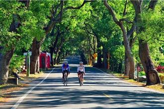 集集支線停駛遊客數下滑 擬改善自行車道帶動觀光