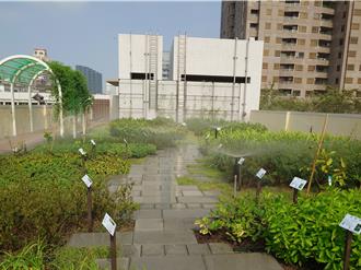 「綠屋頂」助教室降溫達5度 學生樂喊：有得吃又涼爽