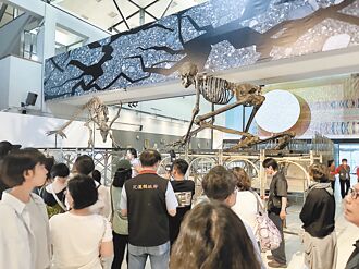 花蓮 跳浪藝術節 地震波紋作主視覺