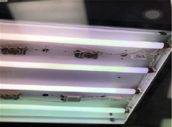 基隆市中山高中團膳午餐驚傳疑似出現豬隻打疫苗的針頭，台北市衛生局11日會同基隆市府人員前往團膳公司進行稽查。圖為燈管上有果蠅。（台北市衛生局提供）