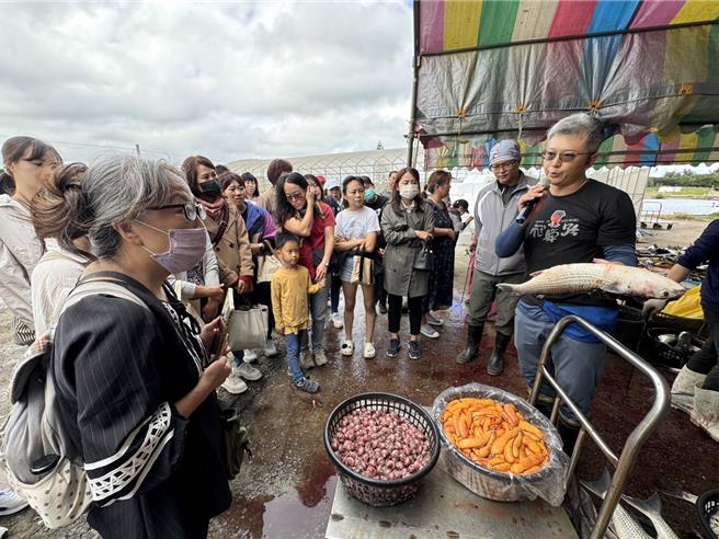 新竹市政府11日舉辦113年食魚教育訓練課程，帶領民眾到香山區知名的「竹魚水產」烏魚養殖場，深入探索在地漁業發展的歷程，並親身體驗烏魚子收成與製作的過程。（新竹市政府提供／陳育賢新竹傳真）