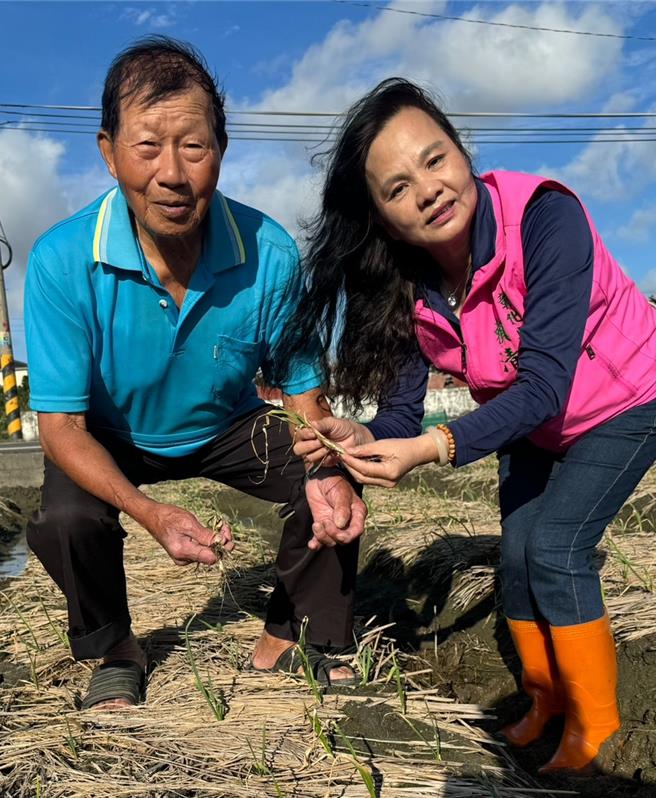 彰化縣議員賴清美（右）接獲蒜農曾柳（左）反映指出，蒜田經接連遭受颱風摧殘後，農損嚴重。（賴清美提供／葉靜美彰化傳真）