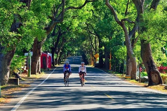 台铁结合铁马「双铁旅游」创造集集小镇观光奇蹟，未料集集支线浊水站到车埕站停驶，重创集集观光。（集集镇公所提供／杨静茹南投传真）