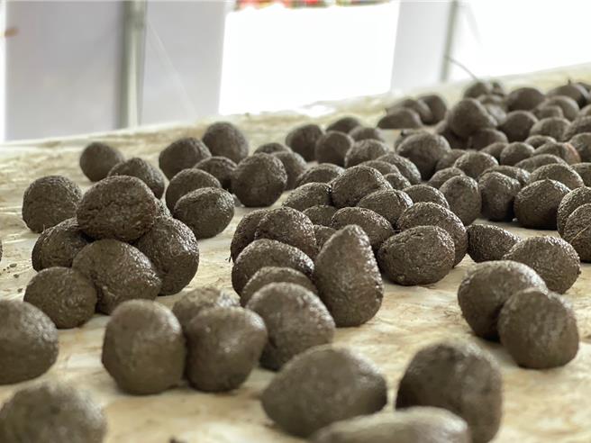 太魯閣國家公園管理處與志工9日在太魯閣峽谷音樂節登場之際，邀請遊客一起用台灣原生種子製作種子球。（太管處提供／羅亦晽花蓮傳真）