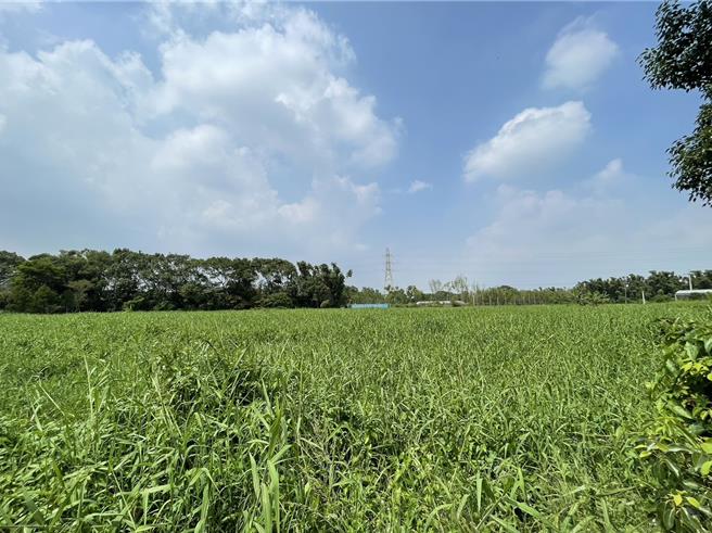 桃園市政府於2019年規畫在大溪區瑞源里設立「大溪科技園區」，內政部審議要求園區開發後土地只租不售比例大，恐影響財務可行性。市議員李柏坊說，期盼市府努力與中央協商，盡早達成共識以利後續開發。（呂筱蟬攝）