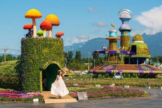 新社花海繽紛多彩 攝影師不藏私！台中國際花毯節這樣拍