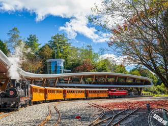 阿里山最夯百年蒸機賞楓列車因楓紅將開動  只限網路訂票，「這一日」開始搶票！