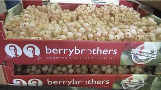 邊境檢驗不合格！大江生醫白醋栗、城市綠洲餐具都上榜 