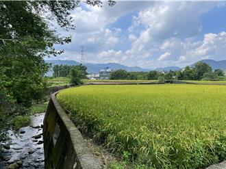 龍潭高低揚灌區淪「水利孤兒」 市府、農水署各說各話