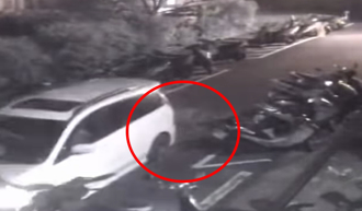 新竹浪浪胖黃狗遭「來回輾壓」 肇事駕駛逃逸被肉搜道歉了