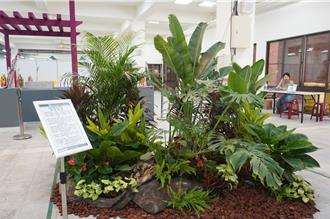熱帶雨林觀葉植物大賞移師暨大  15日至17日免費入場尋寶