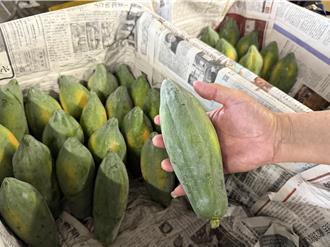 康芮肆虐木瓜大缺货 到货量减6成以上、价格飙涨3倍