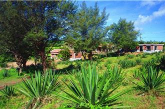 恆春三寶「瓊麻絲」再現風華 在地導覽、DIY課程喚起歷史記憶