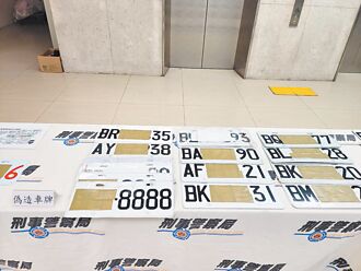 海關跨部會 X光機抓假車牌