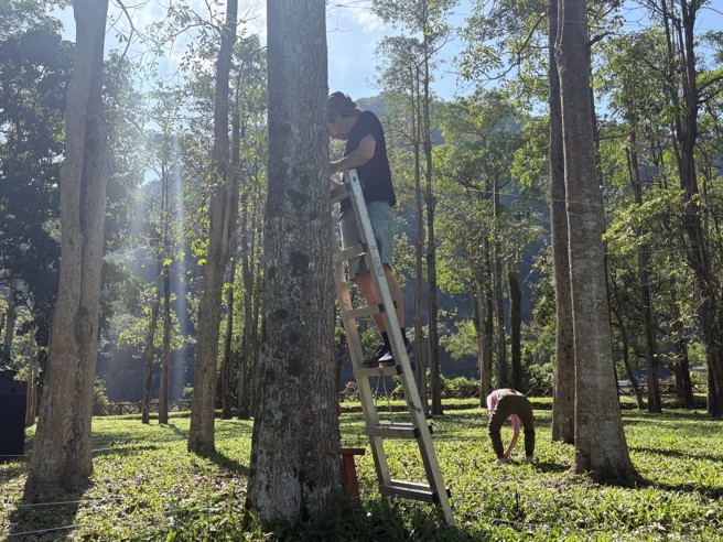 (图/臺东县政府提供)