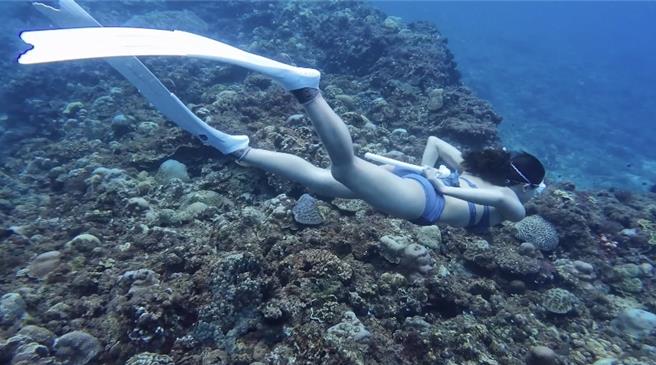 24岁的陈星汝是1名美食网红「吃货咪路」，分享全台美食，IG拥有近8千名粉丝，今年10月刚入训，原本是台电包商担任职业安全卫生管理员，因有同事分享台电福利薪资优才决定报考。（台电提供）