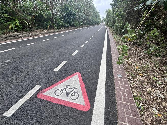 桃園新屋綠色隧道是新屋區少數的觀光景點，過去增設地照設施，不過照明仍不足，夜間幾乎伸手不見五指，地方要求全面檢修更新。（廖姮玥攝）