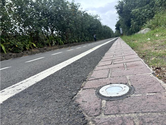 桃園新屋綠色隧道是新屋區少數的觀光景點，過去增設地照設施，不過照明仍不足，夜間幾乎伸手不見五指，地方要求全面檢修更新。（廖姮玥攝）