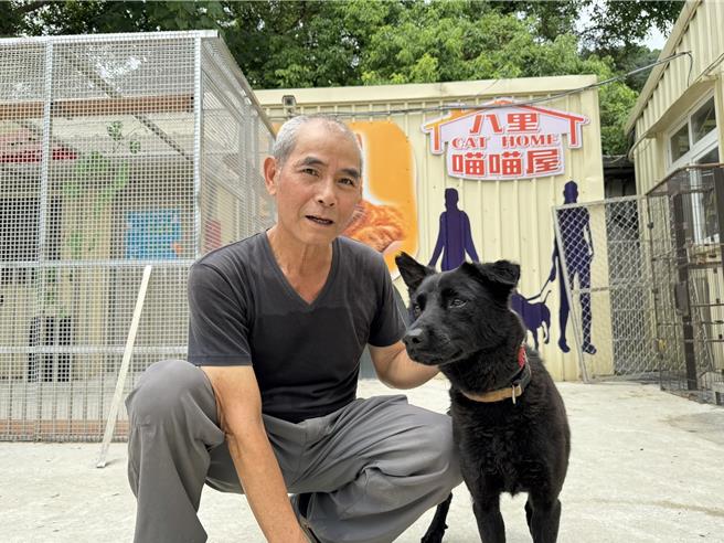 到新北市动物之家认养高龄、身患残疾或长期收容等不易认养犬猫，可享有多重福利。（新北市动保处提供）