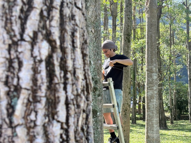 (图/臺东县政府提供)