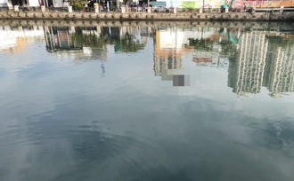 才通報失蹤！男子成浮屍漂台南運河 路過民眾嚇壞
