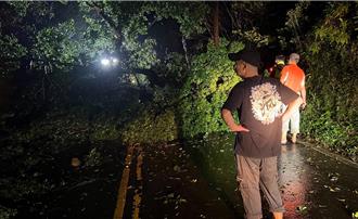 北宜公路又塌方 卡車司機拿鋸子砍樹搶通