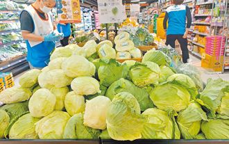 農民超種高麗菜亮紫燈  價格恐崩盤 農業部：不補助耕鋤